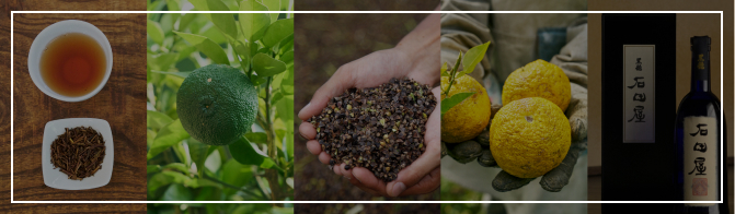 25ANS PIERRE MARCOLINI BRUSSELS