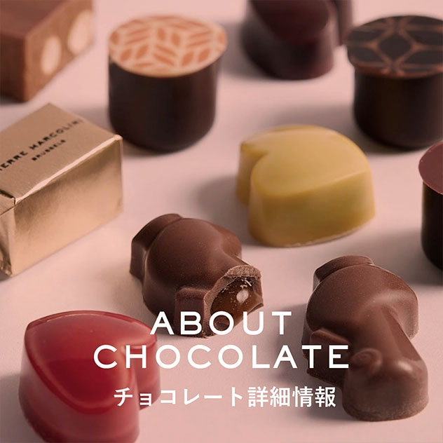 チョコレート詳細情報