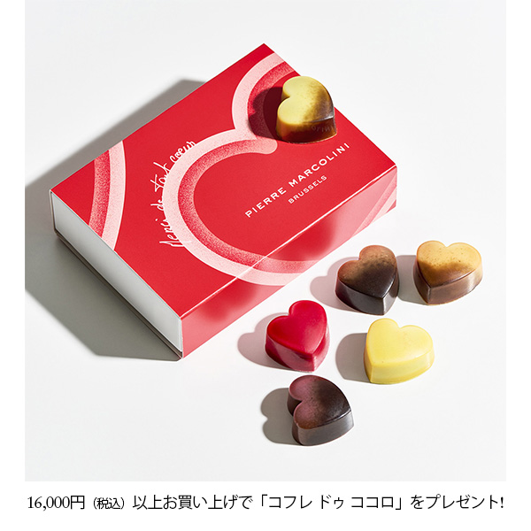 スプリング キャンペーン