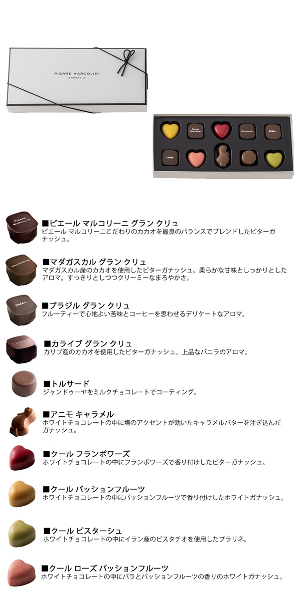 評判 HEIKO ブライトバッグ C1 チョコブラウン MT 10枚 fucoa.cl