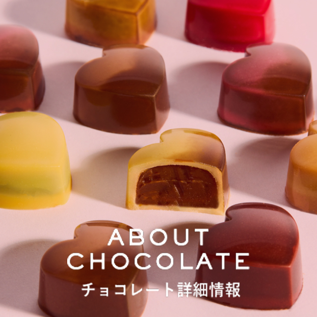 チョコレート詳細情報